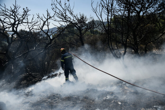 Πυρκαγιά σε δασική περιοχή κοντά στο Αθάνι της Λευκάδας